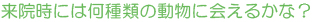 来院時には何種類の動物に会えるかな？